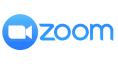 Zoom Download Icon
